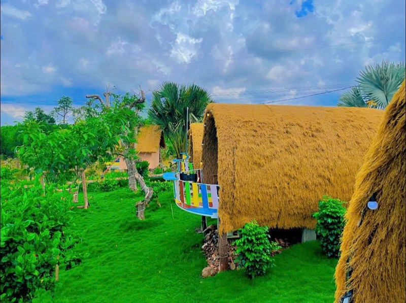 thảm cỏ nhân tạo