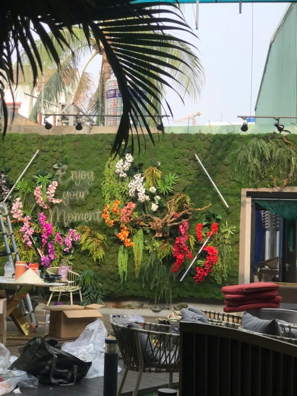 Thảm rêu trang trí tại Đà Nẵng nổi lên như một xu hướng mới mẻ và độc đáo, phù hợp với mọi không gian từ nhà ở, văn phòng đến các cơ sở kinh doanh như quán cà phê, spa, homestay hay nhà hàng.