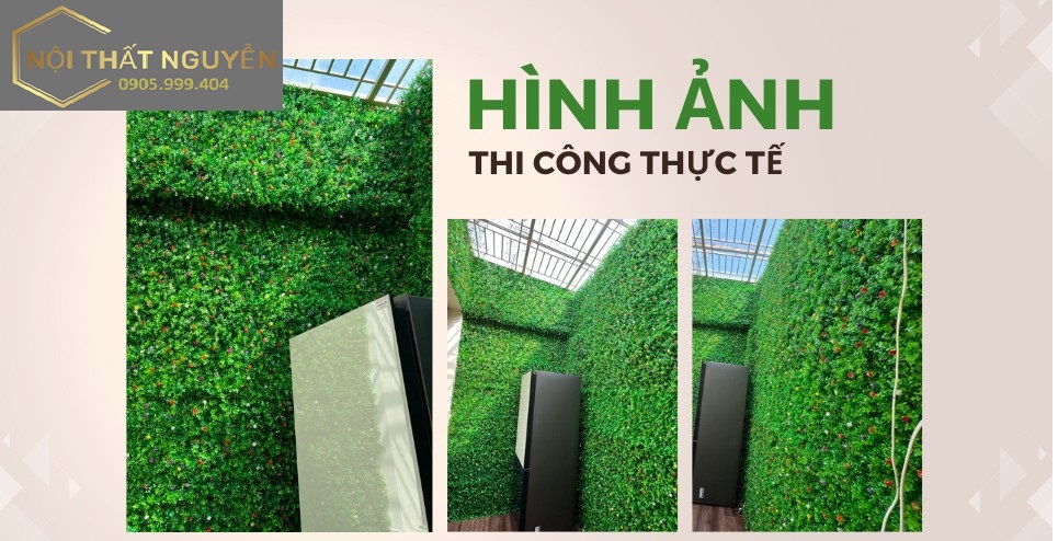 Cỏ tai chuột có hoa Cỏ tai chuột có hoa