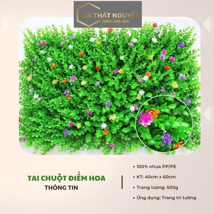 Cỏ tai chuột có hoa Cỏ tai chuột có hoa