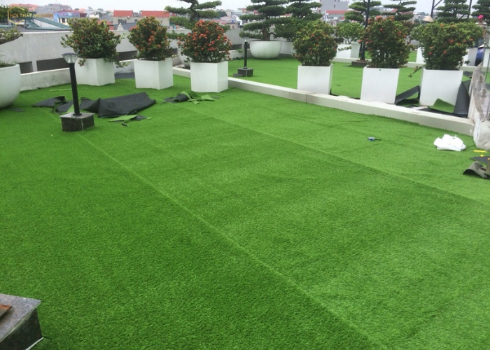 Các loại thảm cỏ nhân tạo (2)