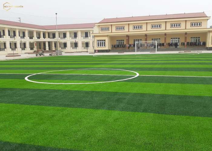 Cỏ nhân tạo tại Sơn Trà (2)