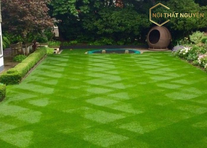 Báo giá thi công thảm cỏ nhân tạo Hội An (2)