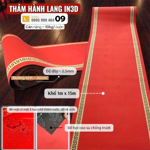 Thảm Trải Sàn Hành Lang
